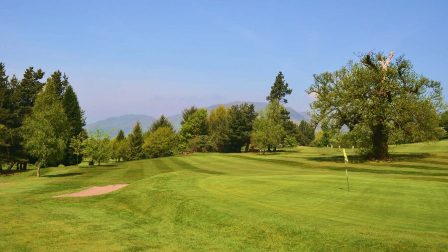 Alloa GC: #16
