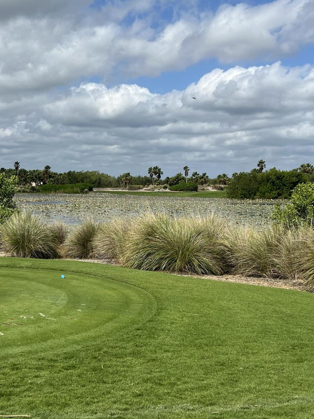 (Photo submitted by u000004343097 on 03/22/2023)