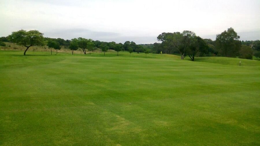 Kimiad Golf - Executive