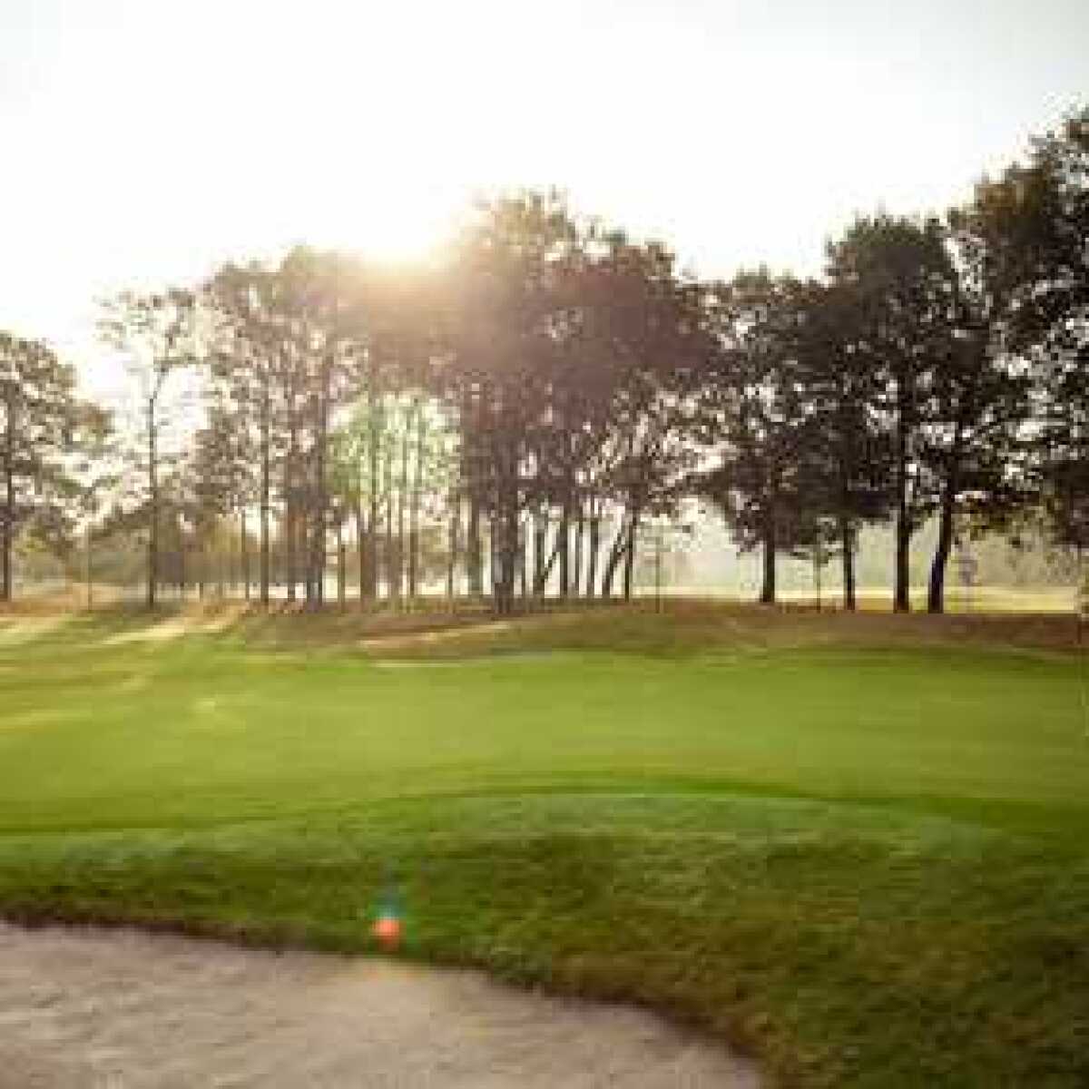 Goyer Golf & Country Club North Course in Eemnes, Friesland, Netherlands GolfPass
