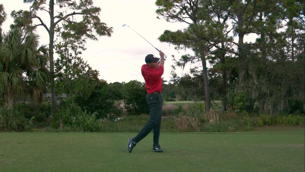 How Tiger Hits the Stinger