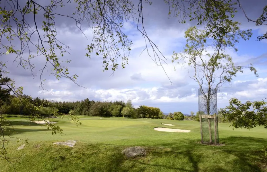 Carrickmines GC: #7