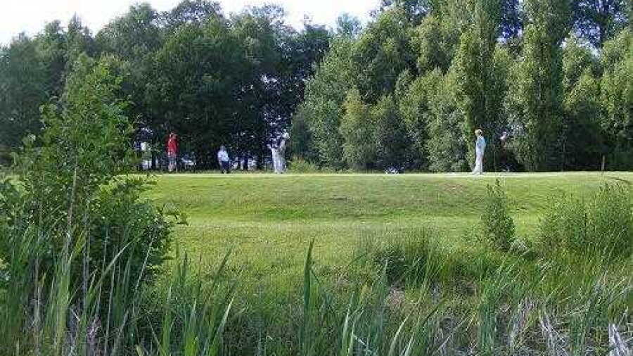 Hahn GC: #6