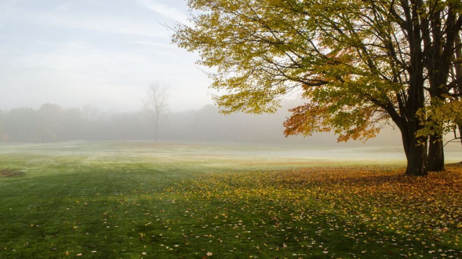 Woodbury GC