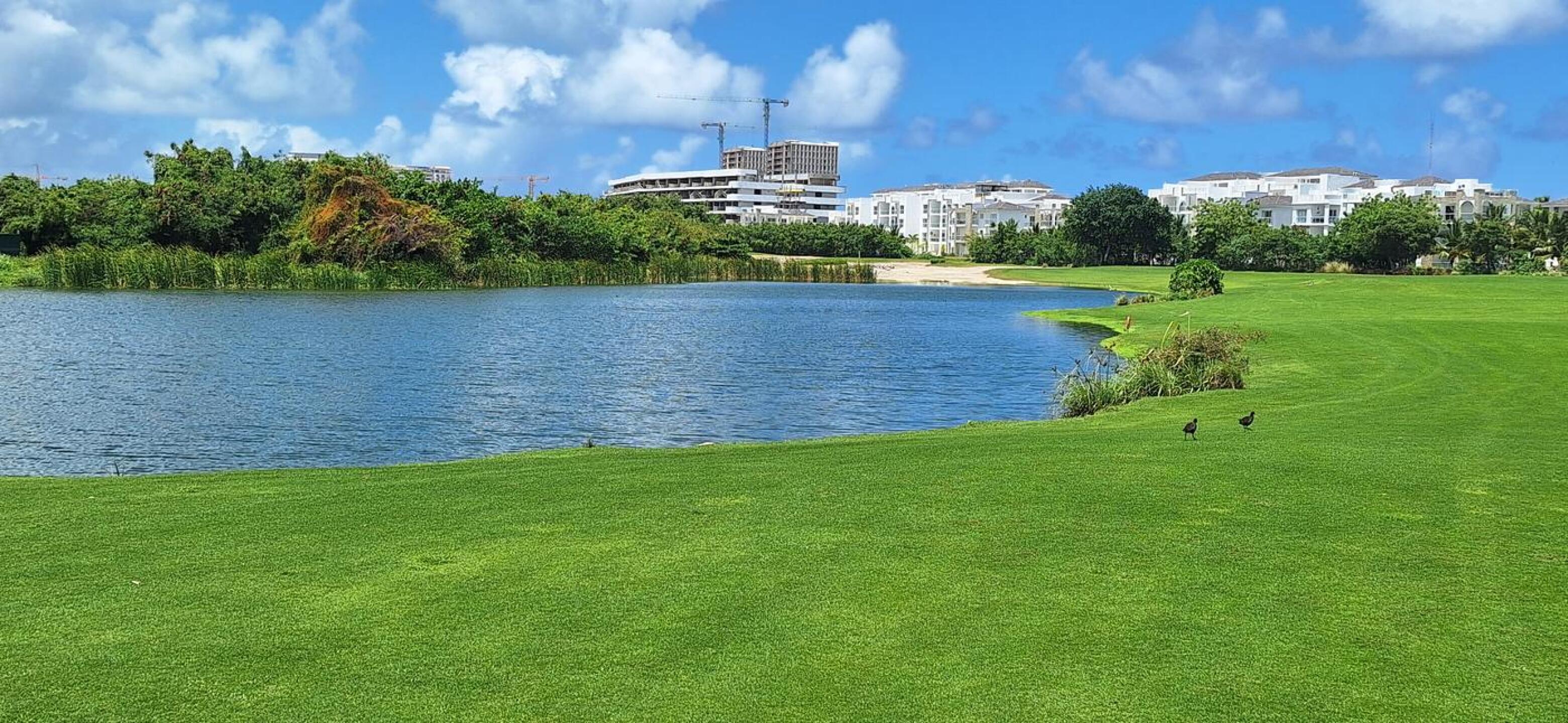 (Photo submitted by MiniWelsh on 04/07/2026)