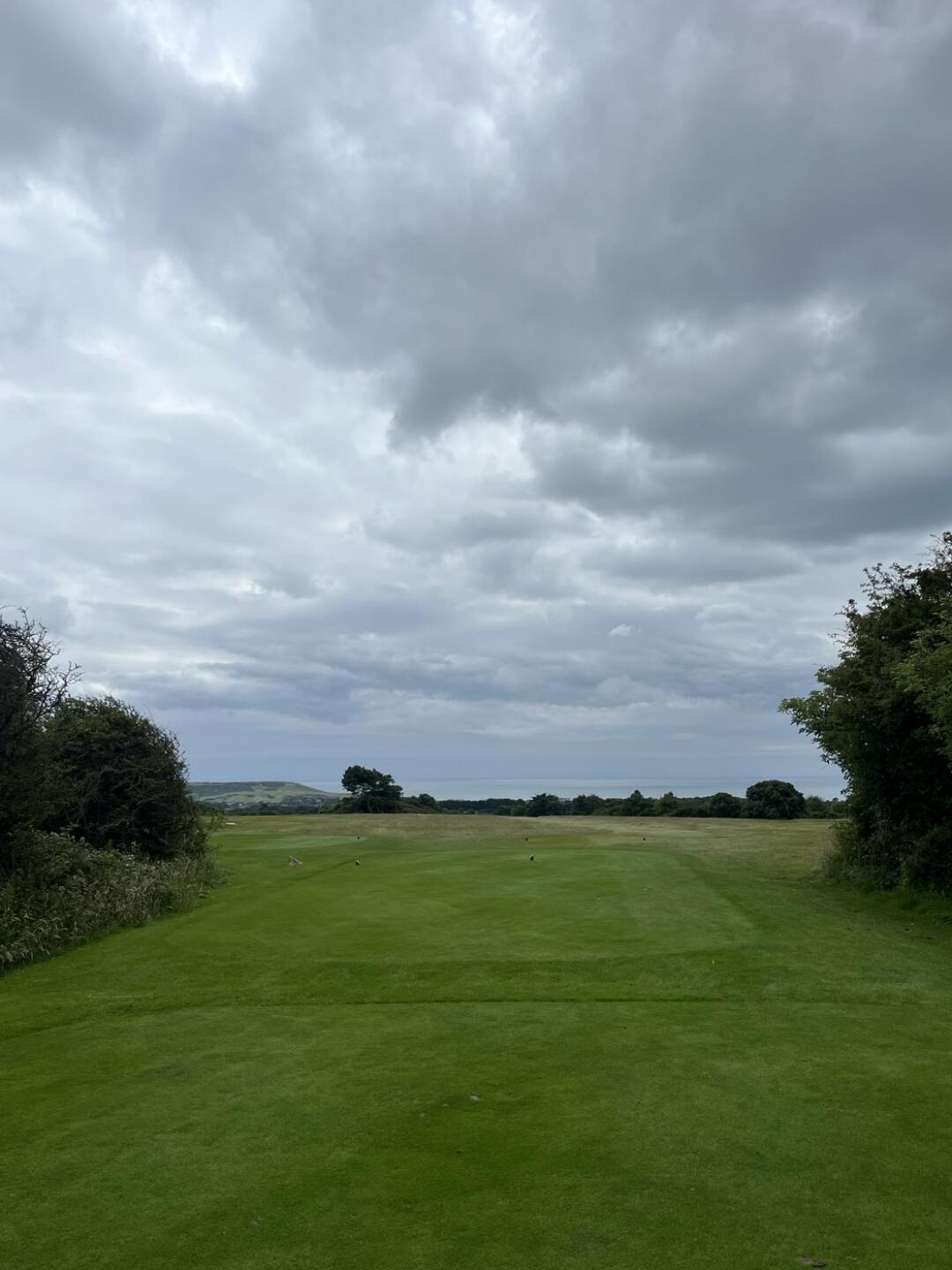 (Photo submitted by u314162249536 on 07/12/2024)