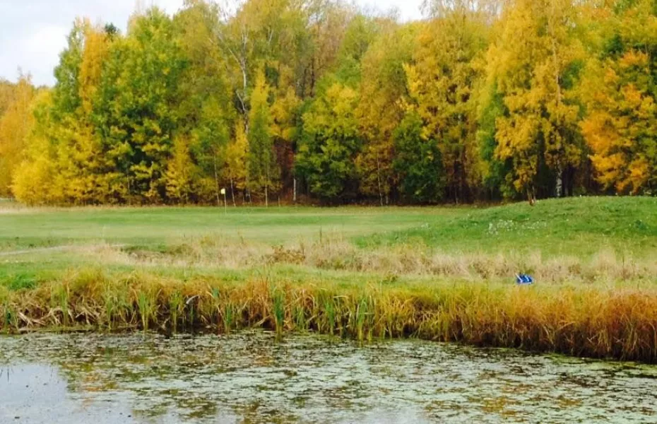 SAIK Golf - Yellow: #1