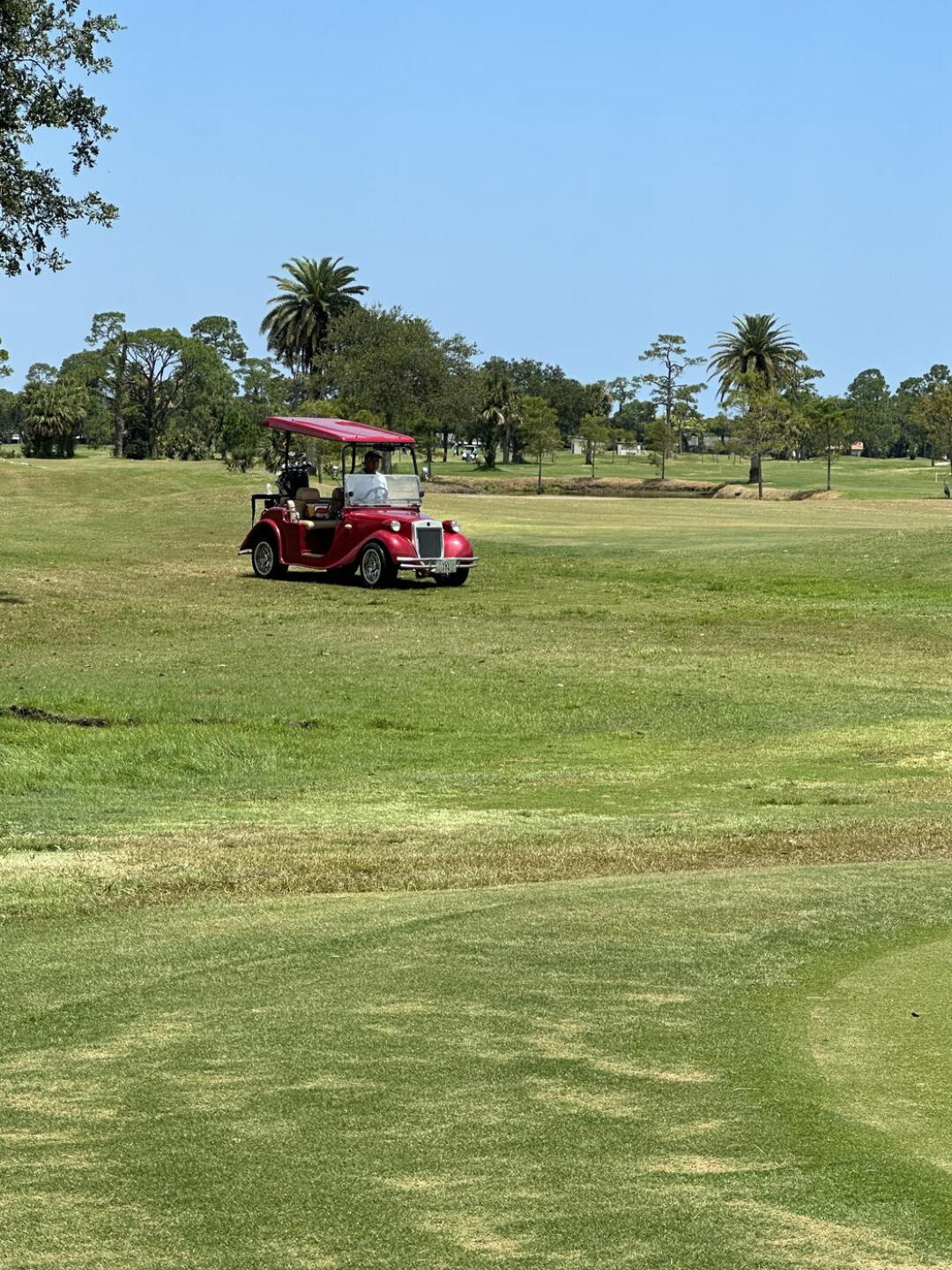 (Photo submitted by Simmonsgolfmore on 08/02/2023)