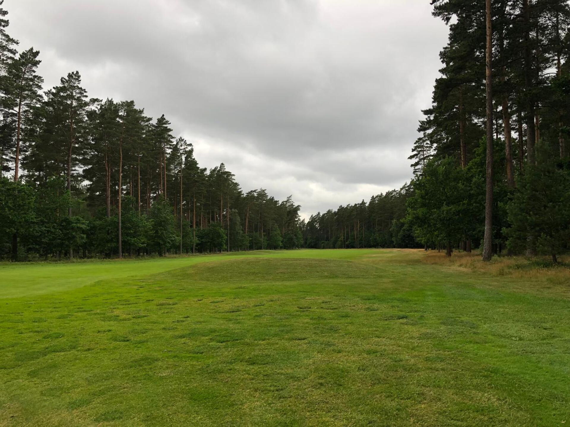 Beautiful Fairways (Photo submitted by Jelly6911 on 07/01/2018)