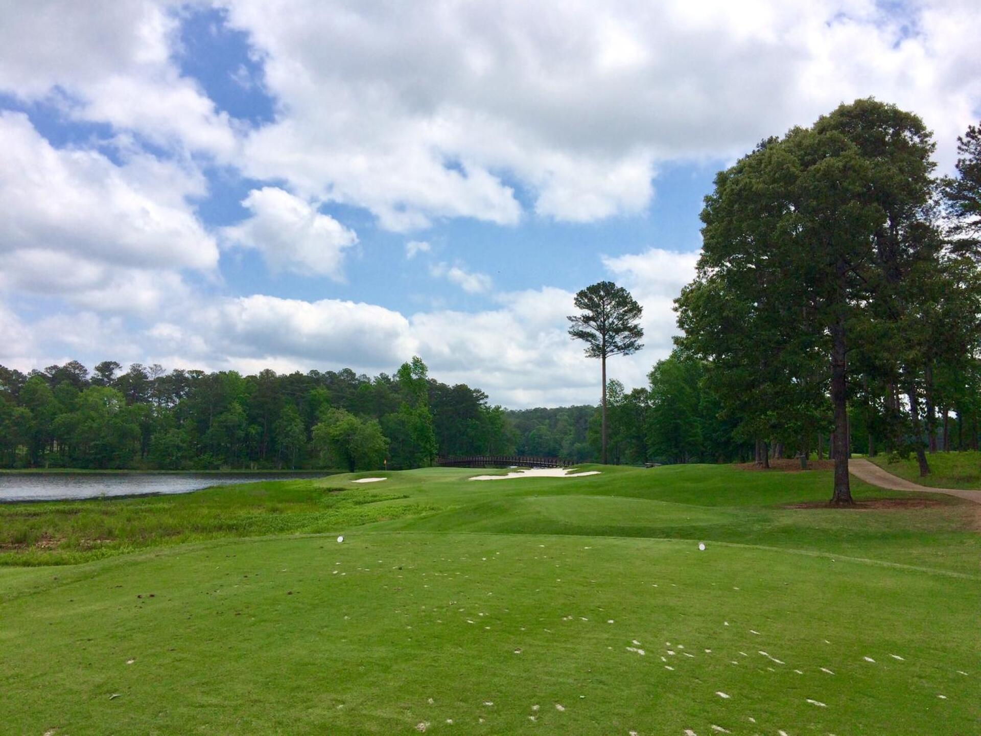 Par-3 third hole, Links course (Photo submitted by BrandonWebb on 04/29/2017)