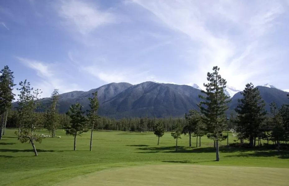 Pirin GCC - Pine
