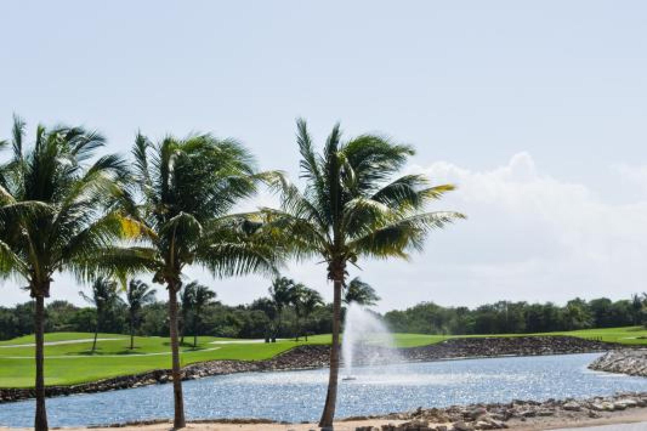 (Photo submitted by Matthew2277308 on 02/14/2013)