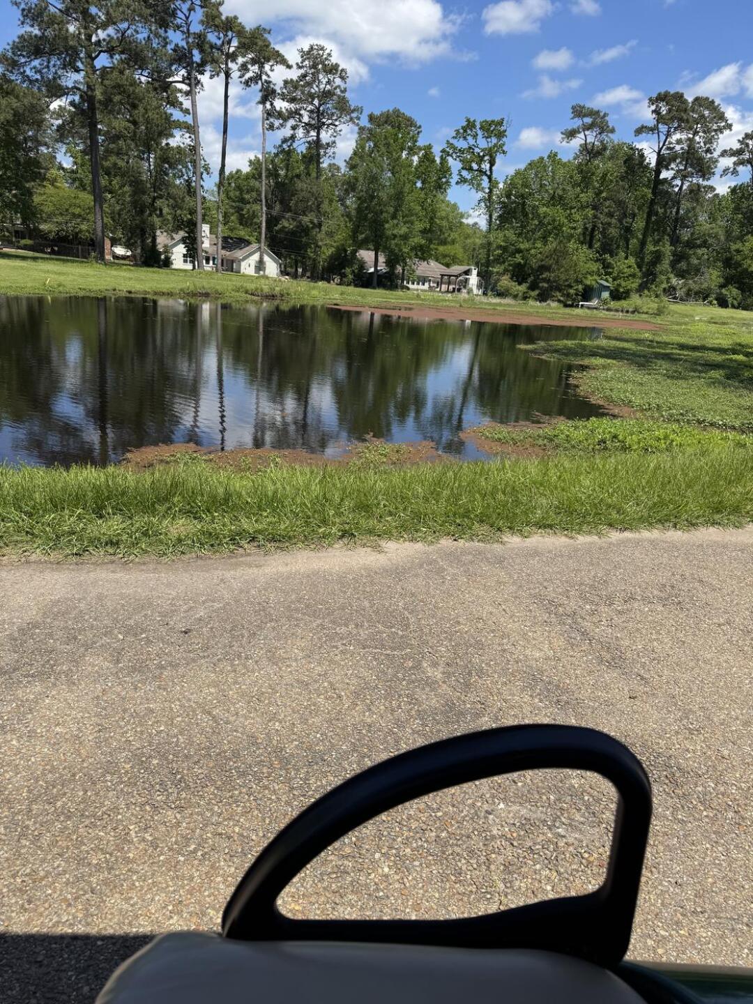 (Photo submitted by Michael7209760 on 04/18/2025)