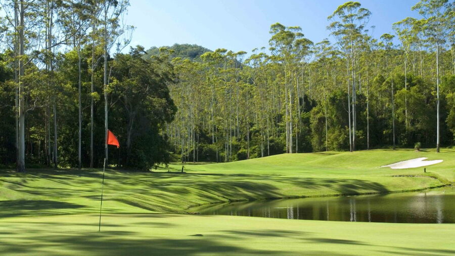 Bonville GR: #15