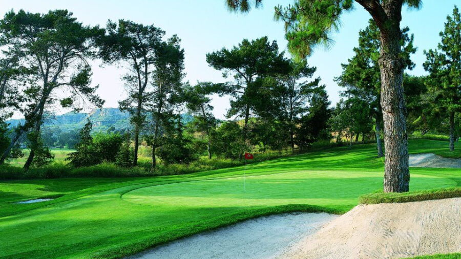 Vista at Los Coyotes CC: #8