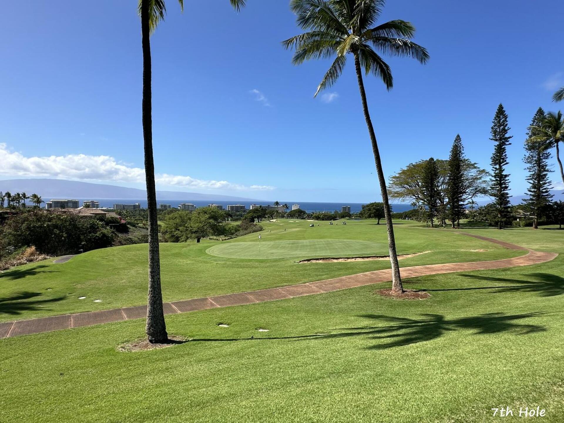 (Photo submitted by mrz7700 on 02/16/2025)