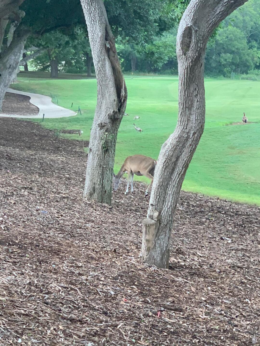 (Photo submitted by William3641389 on 07/13/2020)