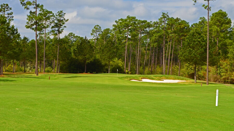 Grand Bear G.C. - 1st