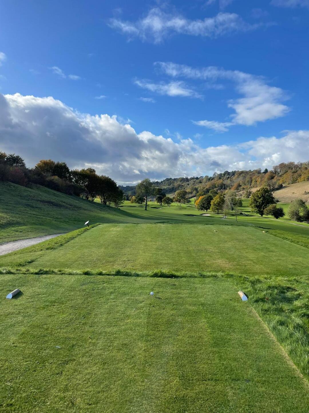 (Photo submitted by DrDava on 11/05/2023)