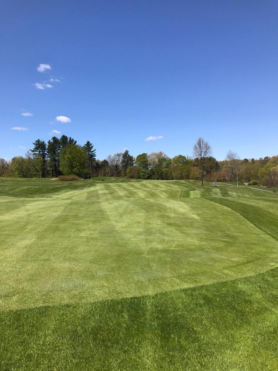 (Photo submitted by Nick9899 on 05/14/2020)