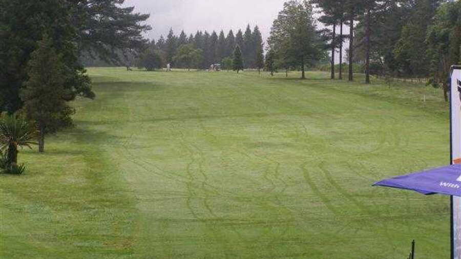 Greytown CC
