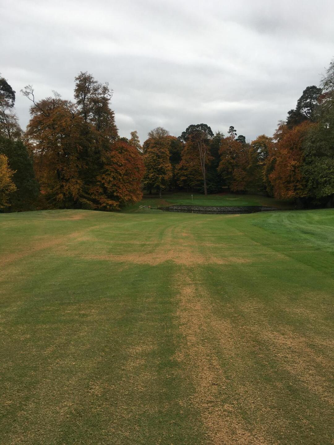 (Photo submitted by zuzujim328 on 07/25/2022)