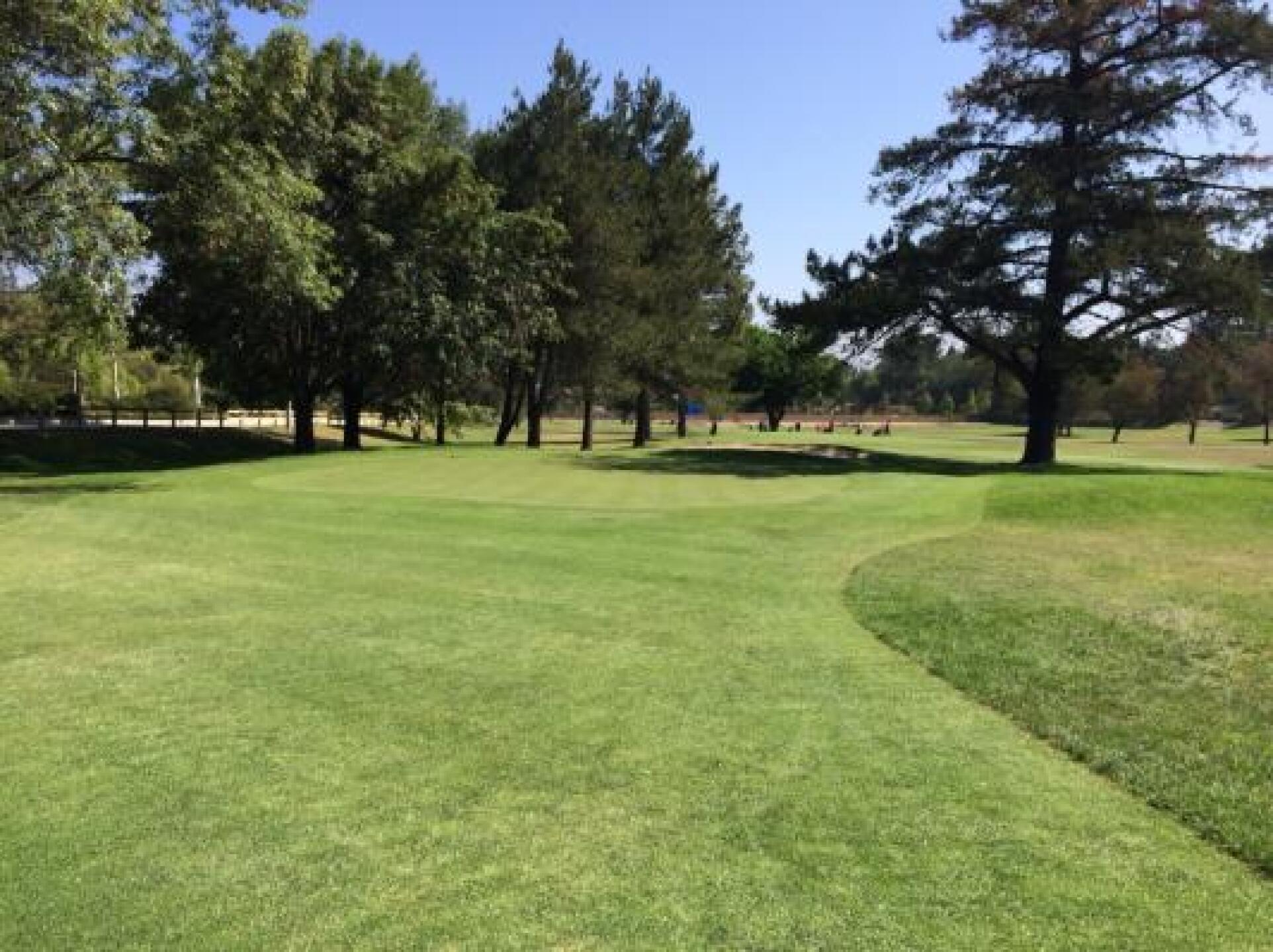 #1 approach to the green (Photo submitted by robert9796127 on 06/25/2014)