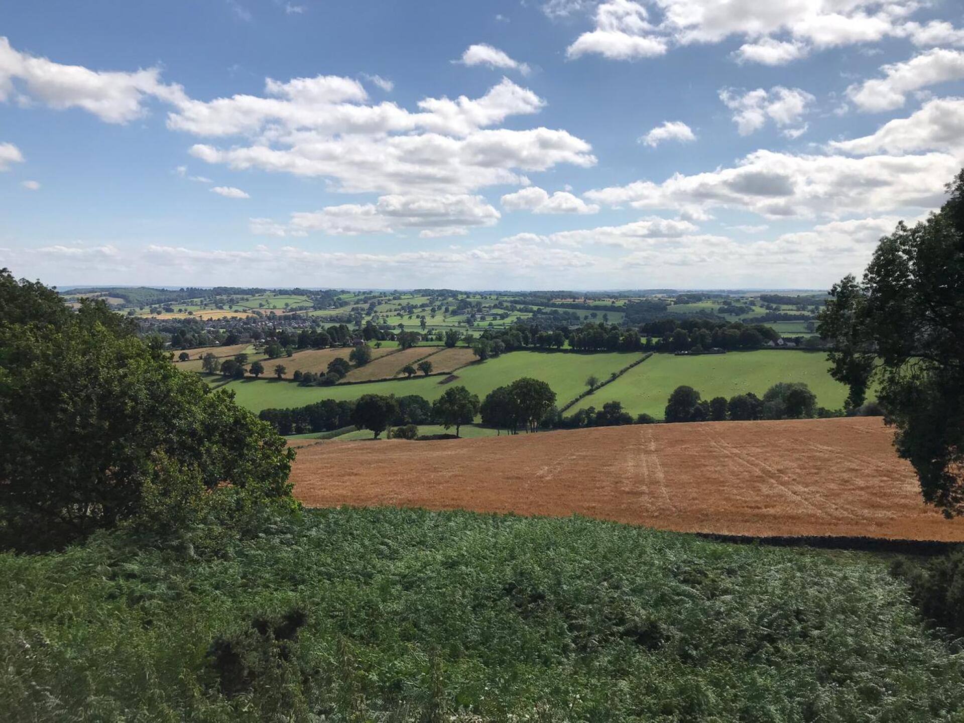 (Photo submitted by u701221377 on 08/24/2020)