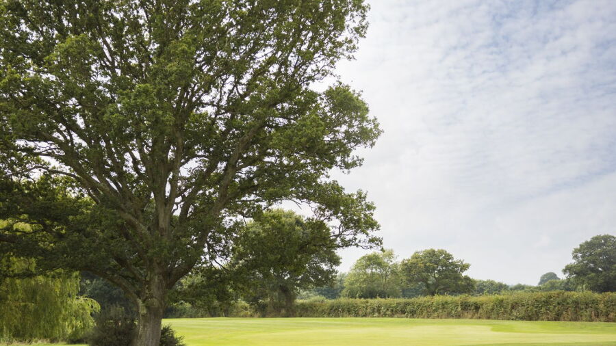Bulbury Woods GC