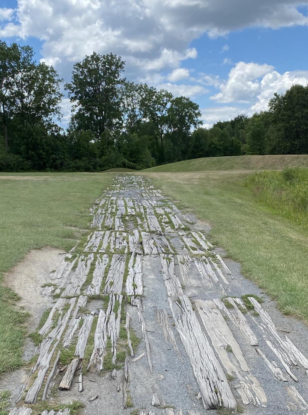 (Photo submitted by dlieske on 07/13/2020)