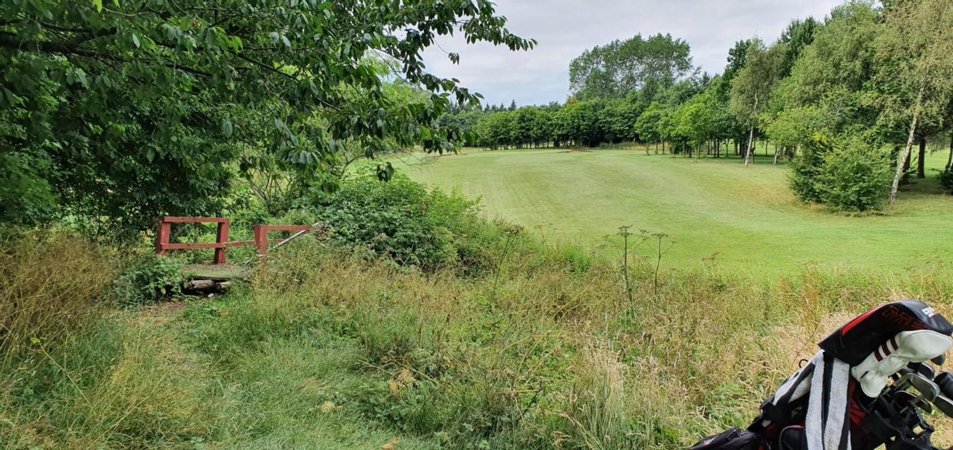 This was a walkway (Photo submitted by Pudzila on 07/24/2021)