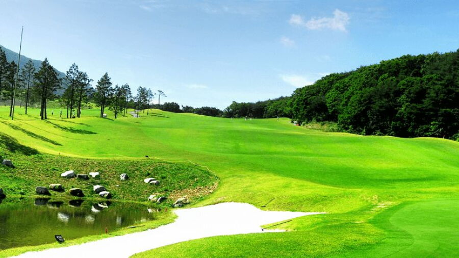 Adelscott CC