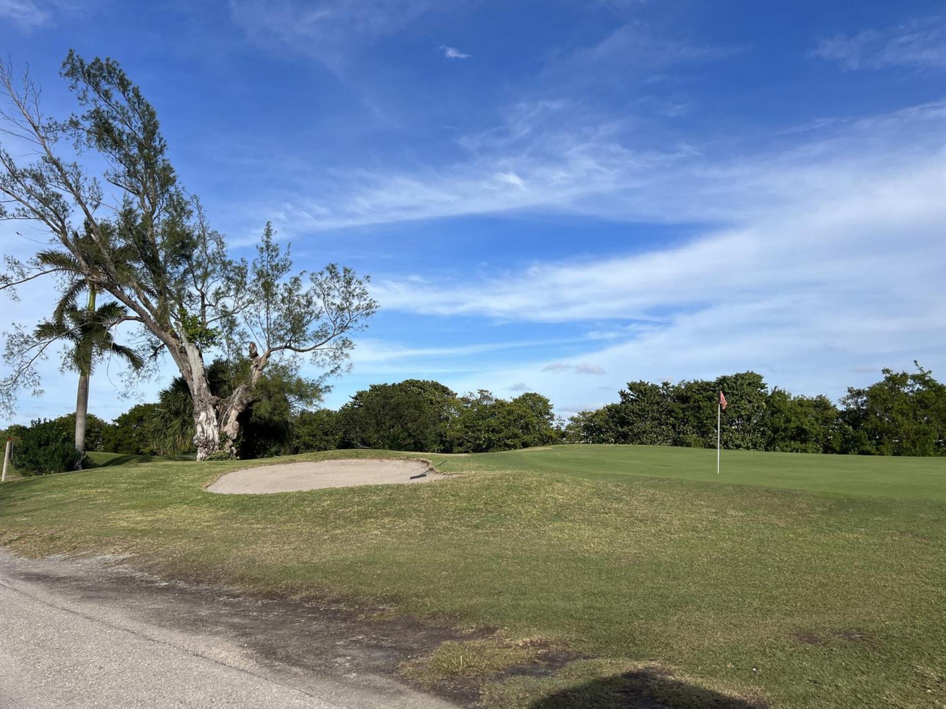 (Photo submitted by Denisec on 12/18/2023)