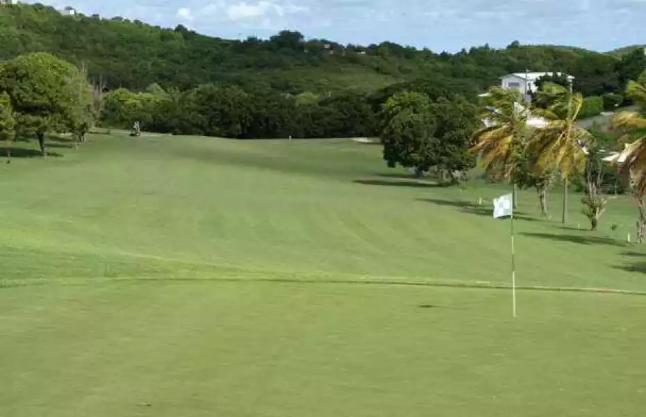 Cedar Valley GC: #17