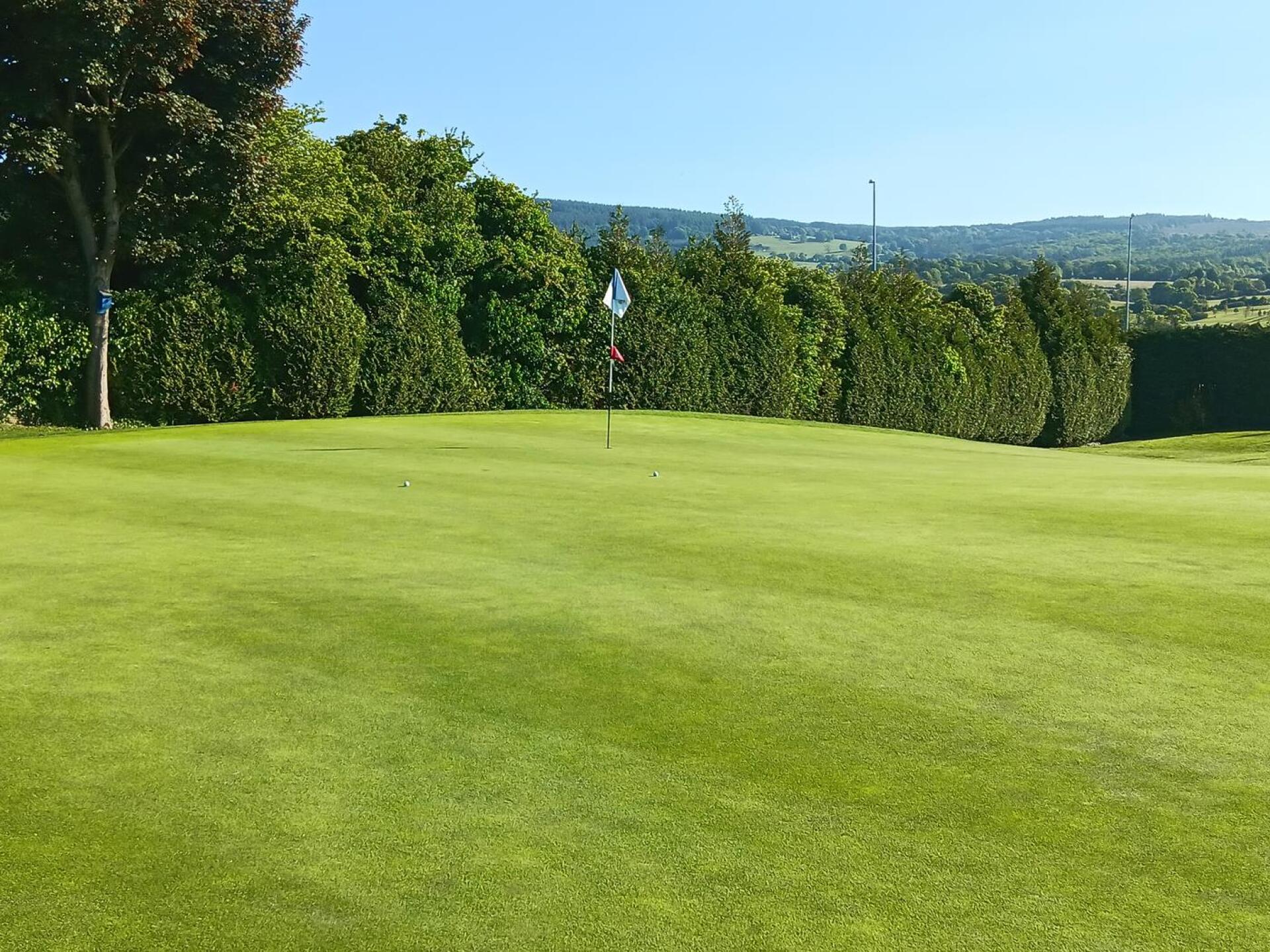 (Photo submitted by u314162458798 on 06/03/2023)