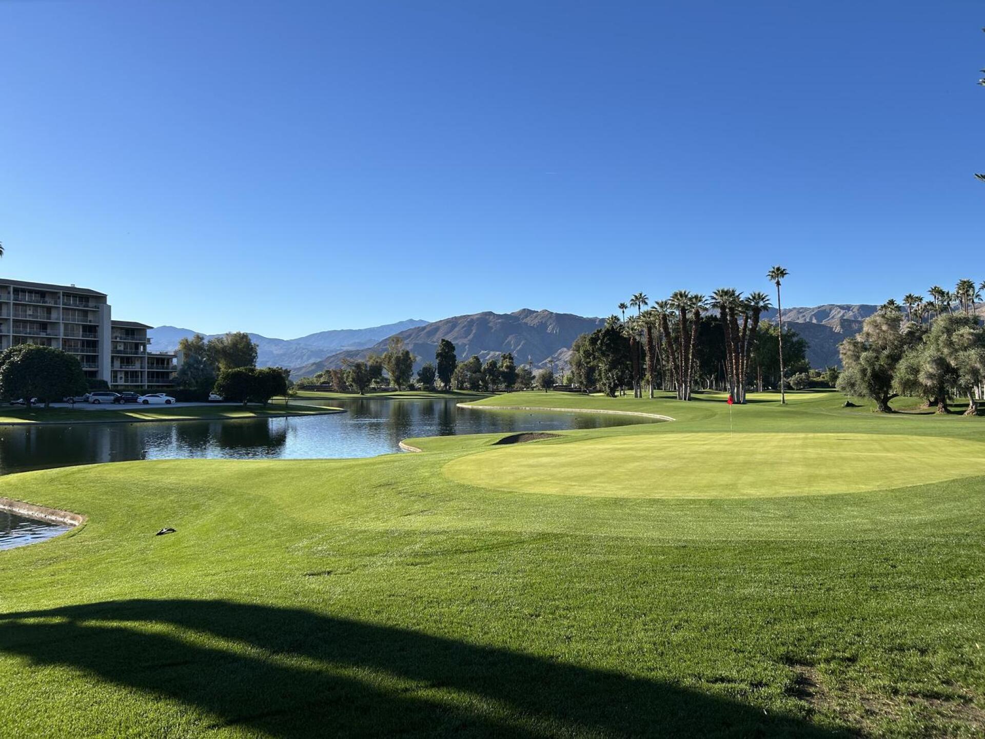 (Photo submitted by perkas on 11/26/2025)