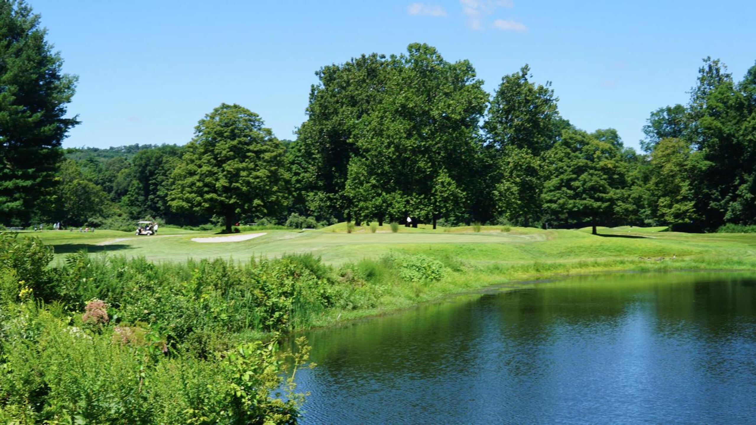 Eight is a solid par-3, playing 138, 156 and 196 yards from the red, white and blue tees, respectively. I’ve seen many golf balls disappear into this pond. (Photo submitted by AptlyLinked on 08/15/2024)