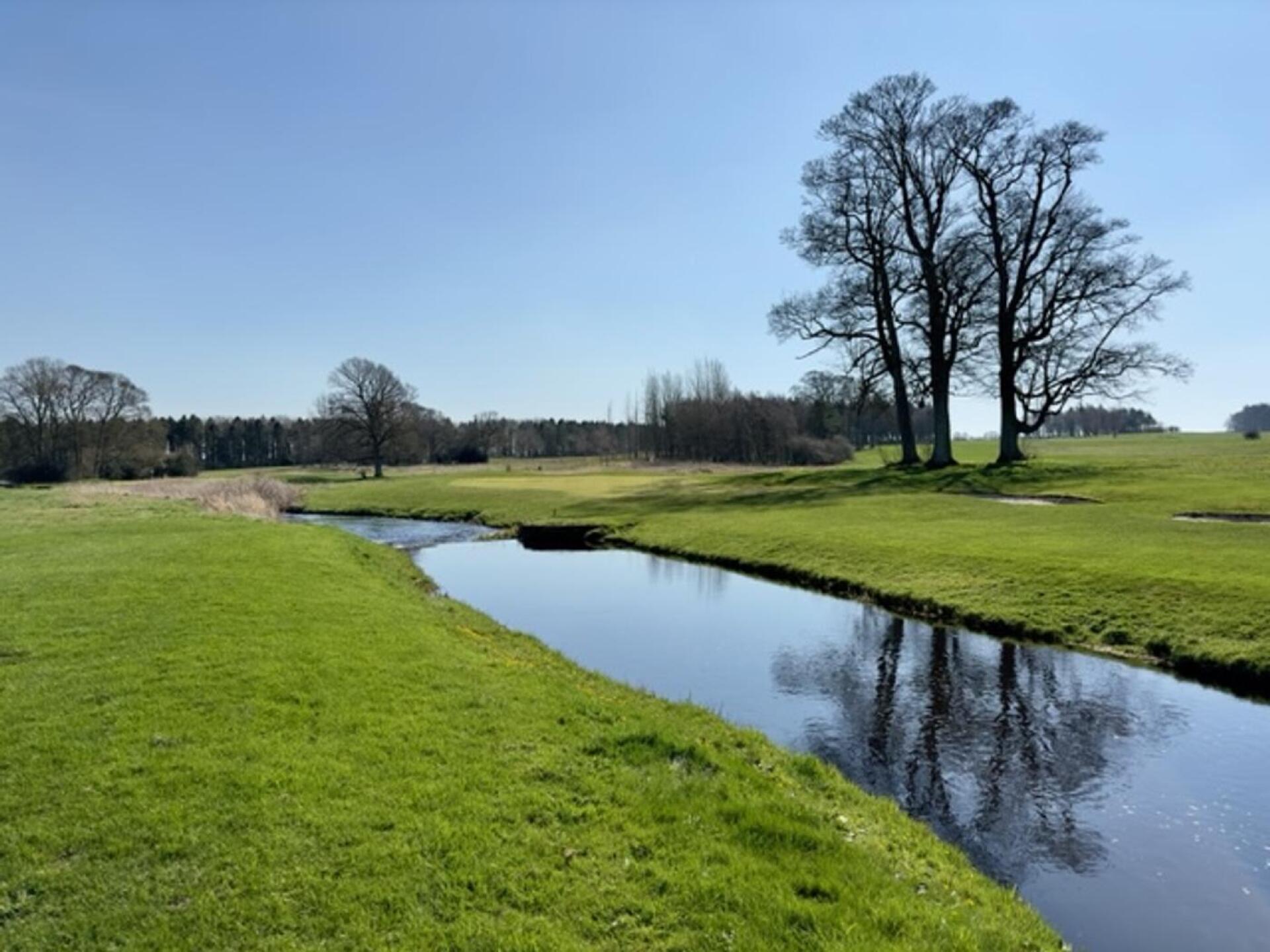 (Photo submitted by u314162304989 on 04/17/2023)