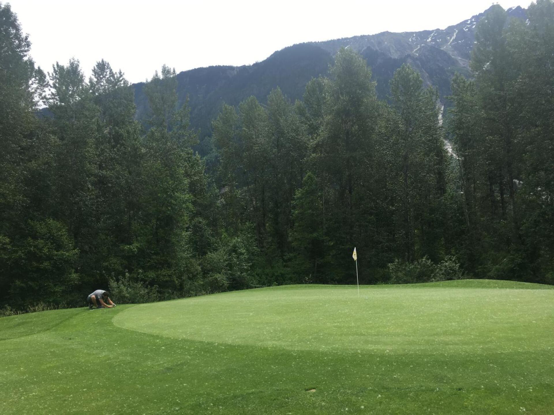 (Photo submitted by u135565261 on 06/12/2019)