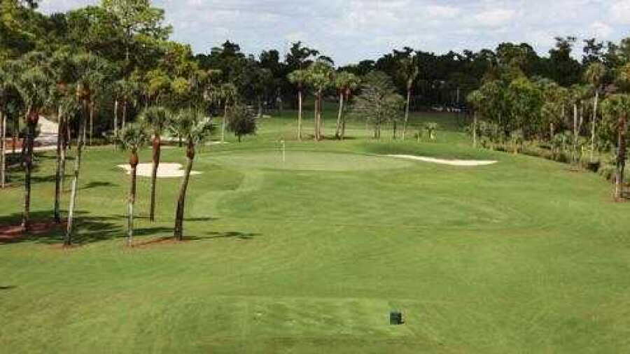 Cypress at Royal Poinciana GC: #8