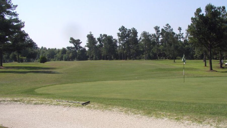 Shannon Greens GC: #12