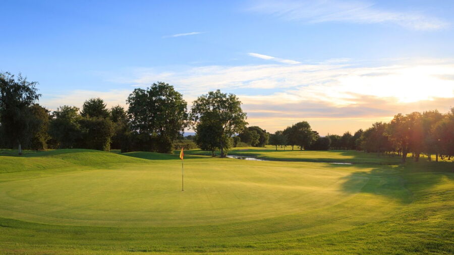 Isle of Wedmore GC: #16