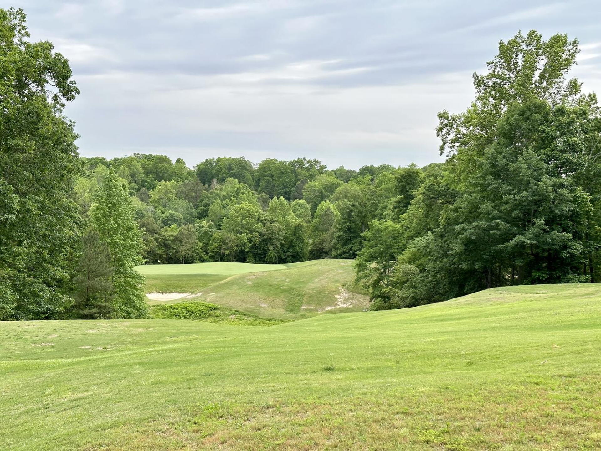 Stonehouse Golf Club, hole 15 (Photo submitted by TimGavrichGP on 08/24/2023)