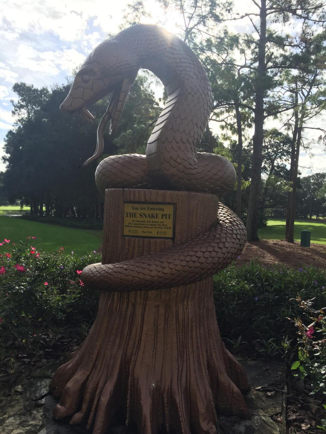 Snake Pit! (Photo submitted by zbuechner4 on 12/09/2015)