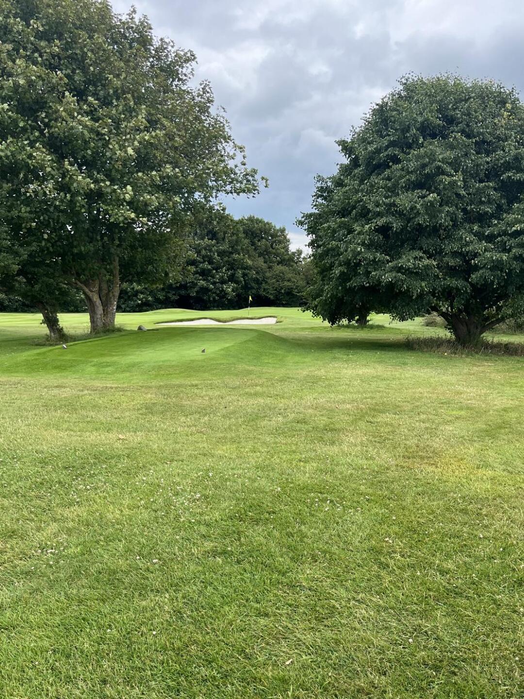 (Photo submitted by u314162249536 on 07/12/2024)