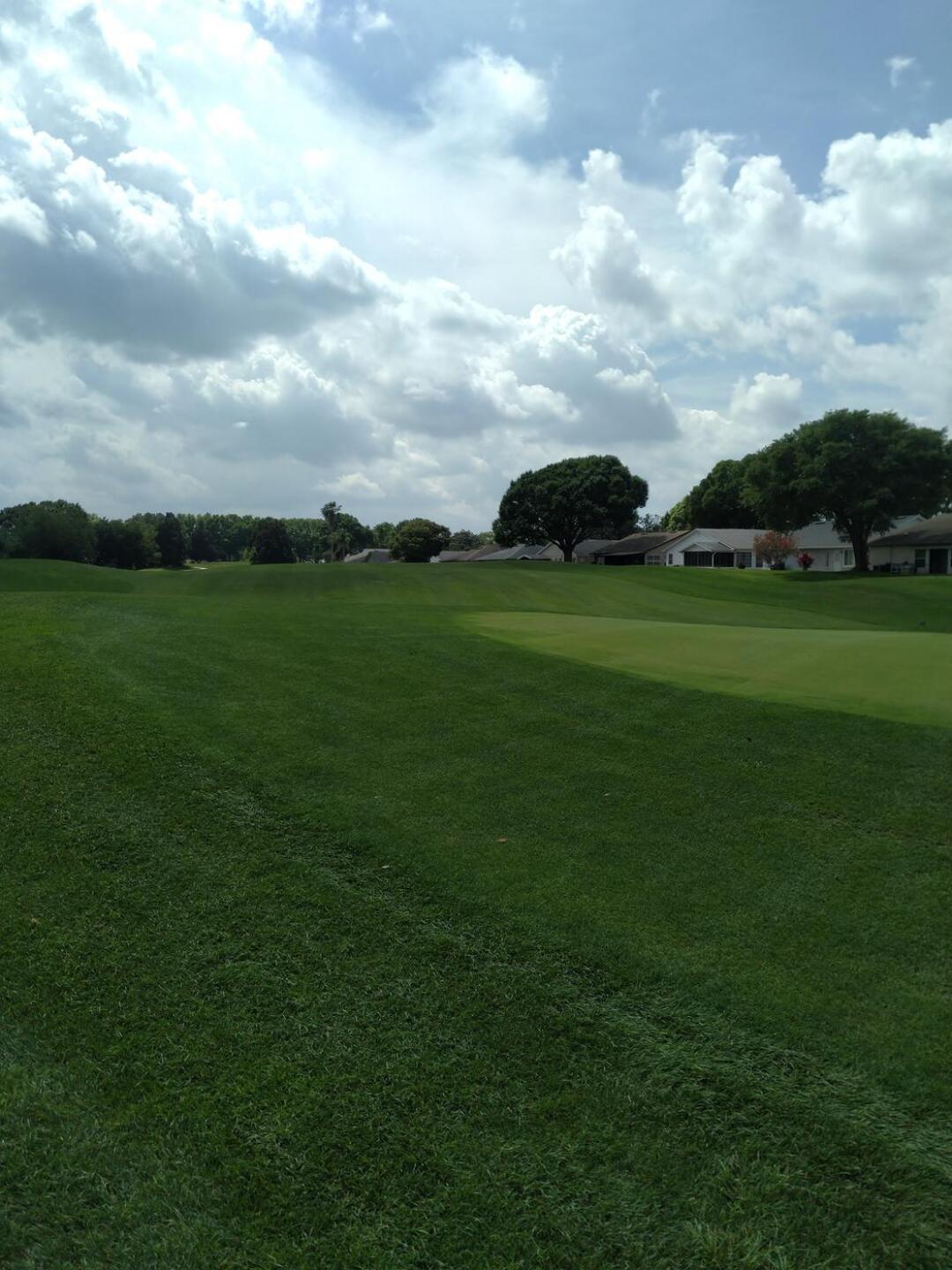 (Photo submitted by u190723239 on 03/31/2020)