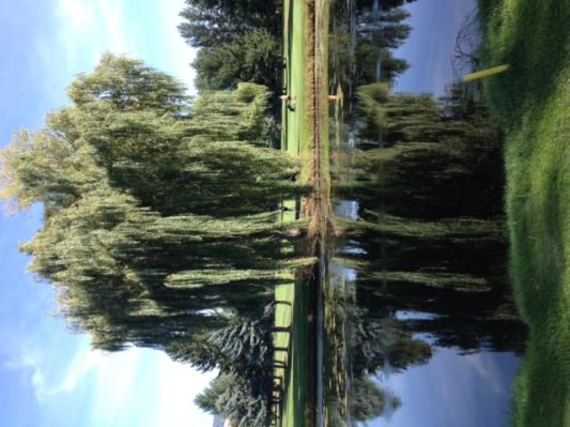 (Photo submitted by mdicay on 09/09/2014)