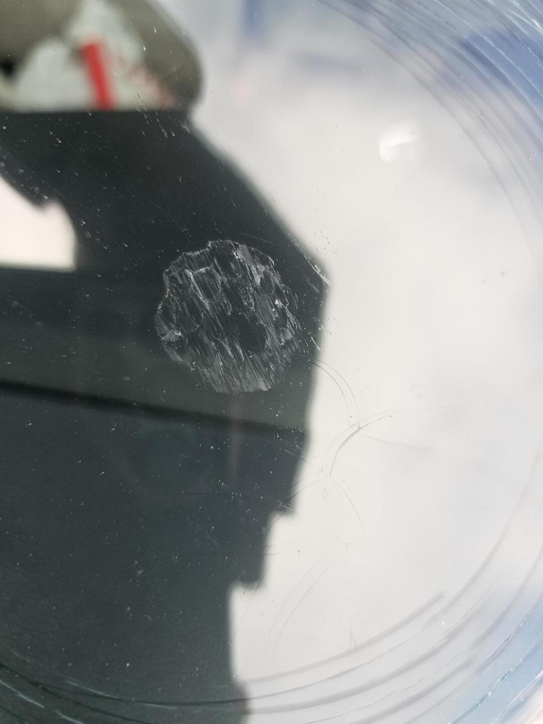 (Photo submitted by u314164075421 on 06/05/2023)