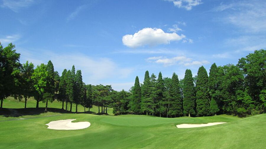 Rose GC
