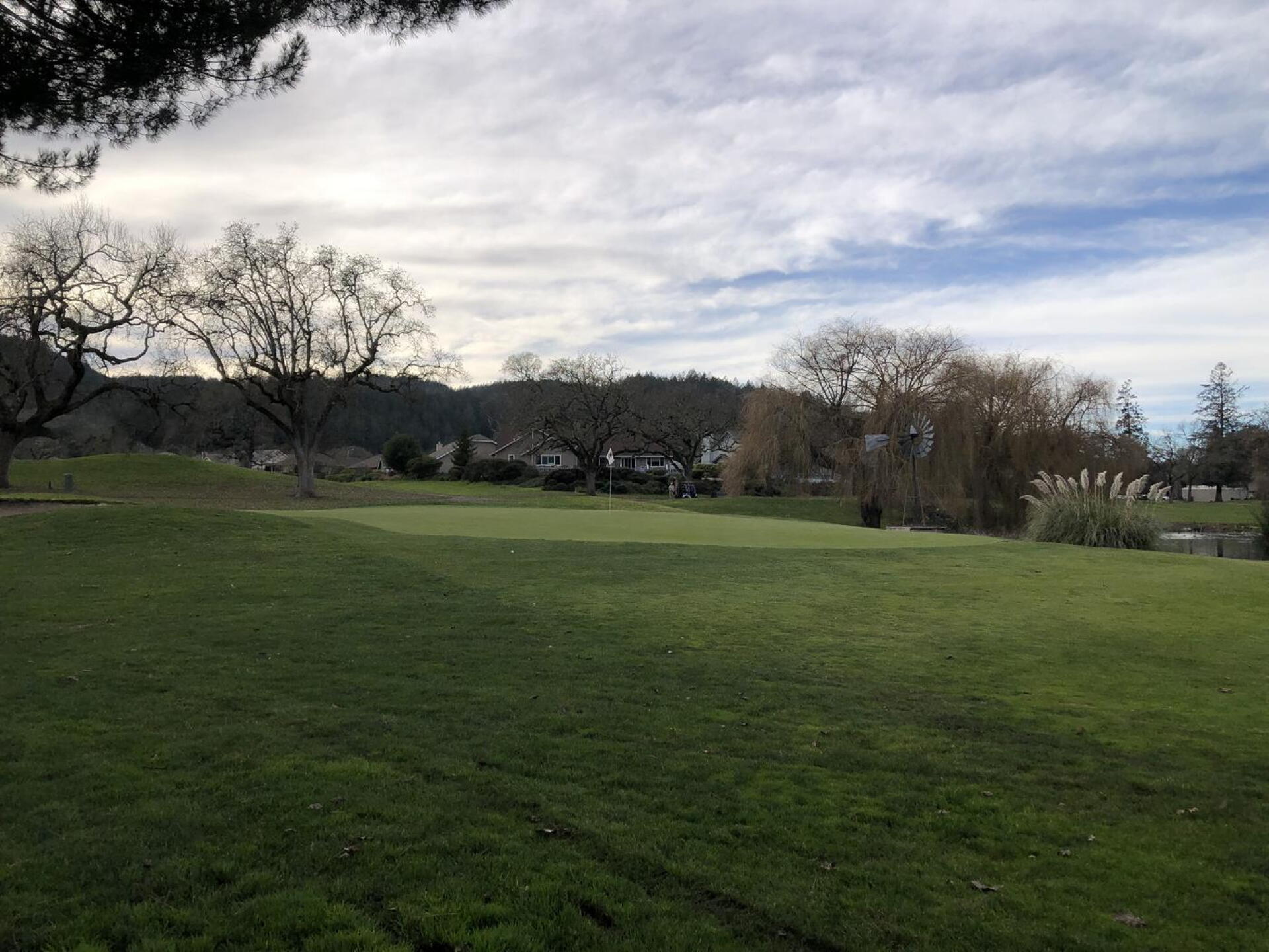 (Photo submitted by u813780306 on 01/14/2022)